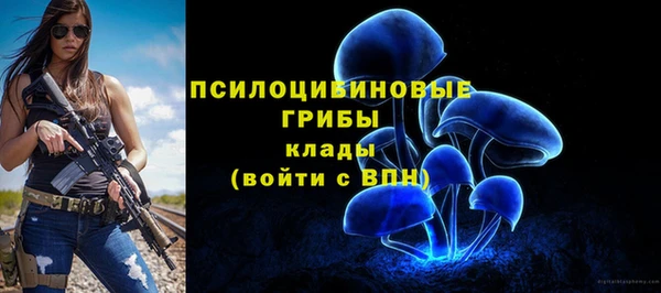 амф Абдулино