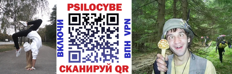 Псилоцибиновые грибы мицелий Болгар